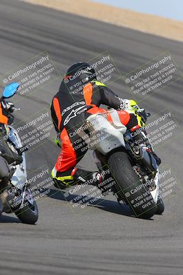 media/Feb-04-2023-SoCal Trackdays (Sat) [[8a776bf2c3]]/Turn 10 Backside (1010am)/